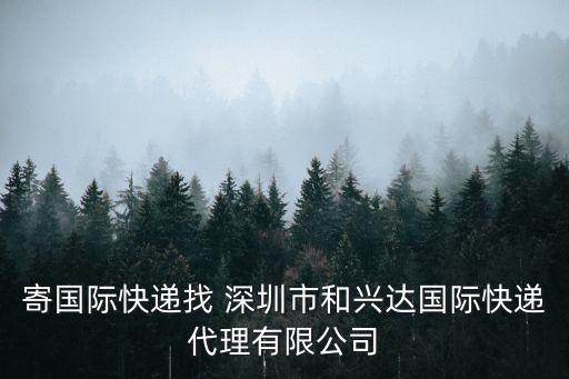 寄國際快遞找 深圳市和興達國際快遞代理有限公司