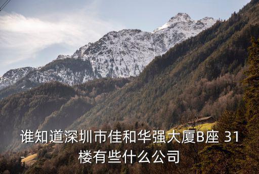 深圳市富宇宏科技有限公司，誰知道深圳市佳和華強大廈B座 31樓有些什么公司