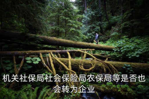機(jī)關(guān)社保局社會(huì)保險(xiǎn)局農(nóng)保局等是否也會(huì)轉(zhuǎn)為企業(yè)