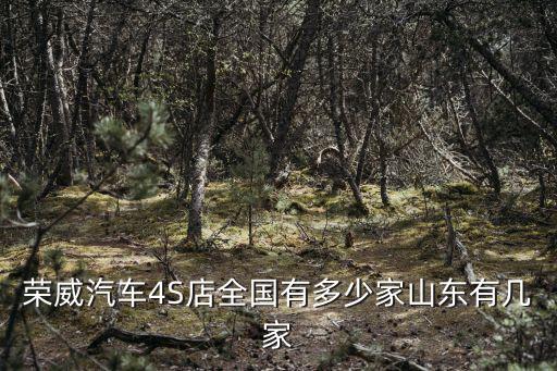 榮威汽車4S店全國有多少家山東有幾家