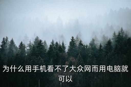 為什么用手機看不了大眾網(wǎng)而用電腦就可以