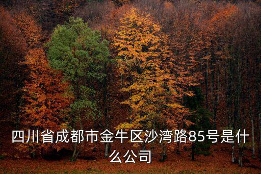 成都市金牛區侯家玻璃廠，四川省成都市金牛區沙灣路85號是什么公司