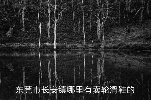 東莞市長安鎮哪里有賣輪滑鞋的