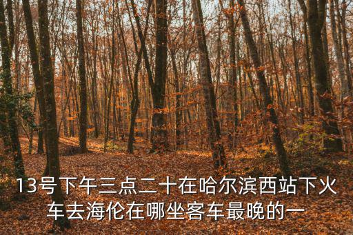13號下午三點二十在哈爾濱西站下火車去海倫在哪坐客車最晚的一