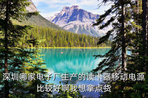 深圳哪家電子廠生產(chǎn)的讀卡器移動(dòng)電源比較好啊我想拿點(diǎn)貨