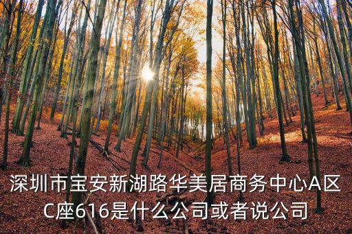 深圳市寶安新湖路華美居商務中心A區C座616是什么公司或者說公司