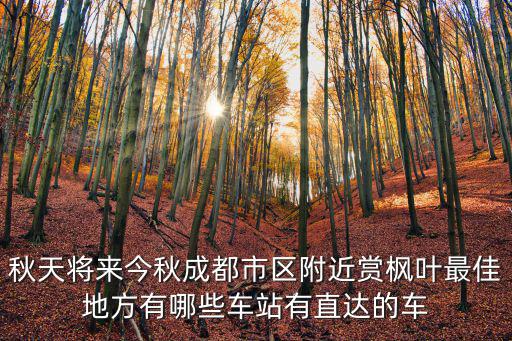 秋天將來(lái)今秋成都市區(qū)附近賞楓葉最佳地方有哪些車站有直達(dá)的車