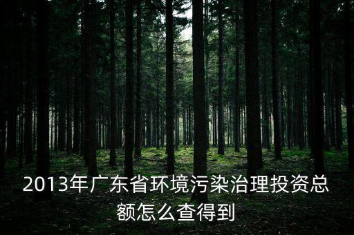 2013年廣東省環(huán)境污染治理投資總額怎么查得到