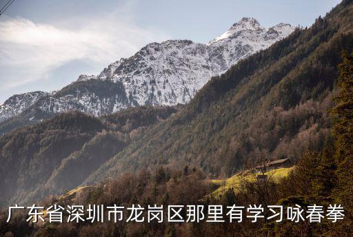 廣東省深圳市龍崗區(qū)那里有學(xué)習(xí)詠春拳