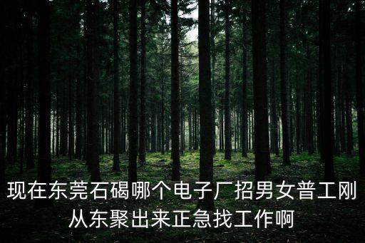 現在東莞石碣哪個電子廠招男女普工剛從東聚出來正急找工作啊