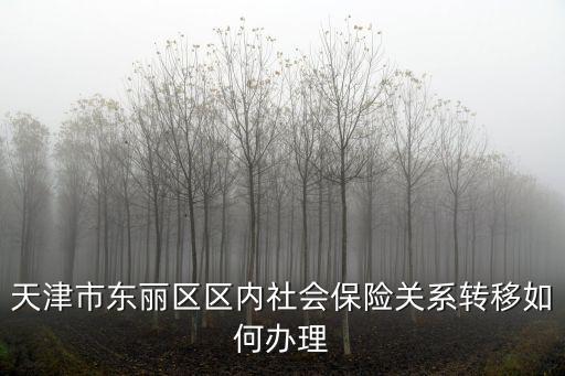 天津市東麗區(qū)區(qū)內(nèi)社會保險關(guān)系轉(zhuǎn)移如何辦理