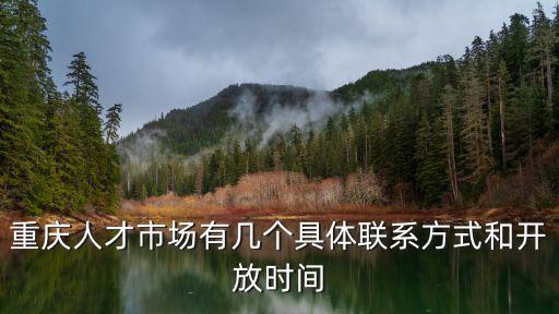重慶人才市場有幾個具體聯系方式和開放時間