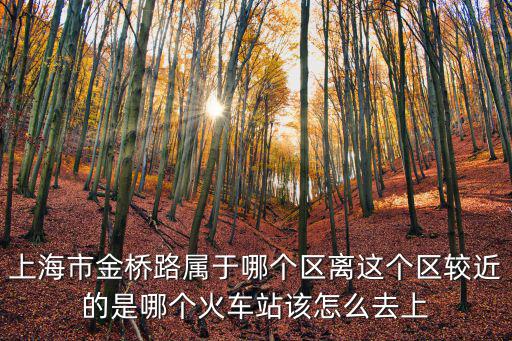 上海市金橋路屬于哪個區離這個區較近的是哪個火車站該怎么去上