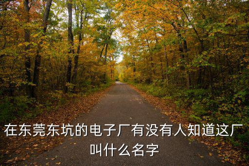 東莞東坑華鑫電子，東莞東坑鎮哪有電子城