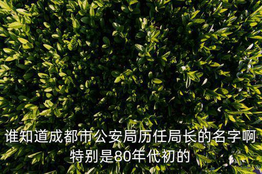 誰知道成都市公安局歷任局長的名字啊特別是80年代初的