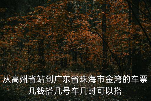 從高州省站到廣東省珠海市金灣的車票幾錢搭幾號車幾時可以搭