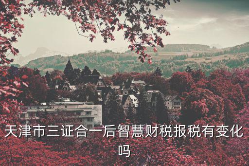 天津市三證合一后智慧財稅報稅有變化嗎