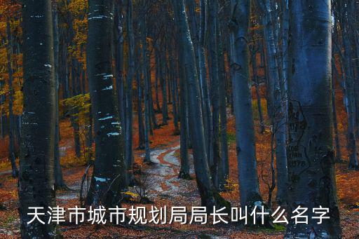 天津市河北區規劃局局長是誰，天津市河北區規劃