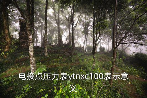 電接點壓力表ytnxc100表示意義