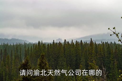 請問渝北天然氣公司在哪的