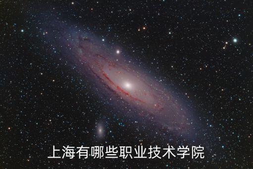 上海有哪些職業技術學院