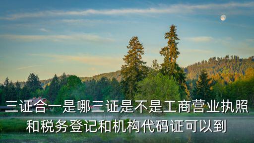 三證合一是哪三證是不是工商營業執照和稅務登記和機構代碼證可以到