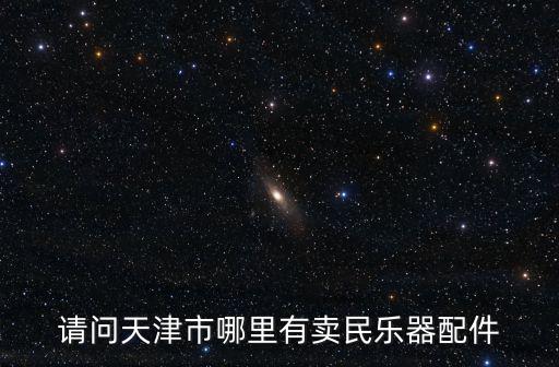 請問天津市哪里有賣民樂器配件
