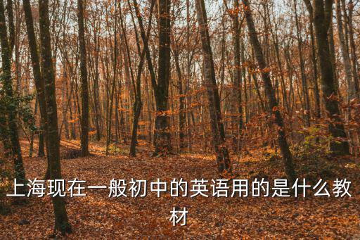 上海現在一般初中的英語用的是什么教材