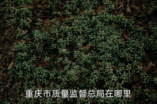 重慶市技術監督局公眾信息網，質量技術監督局公眾信息網這個的簡稱是不是叫質監局