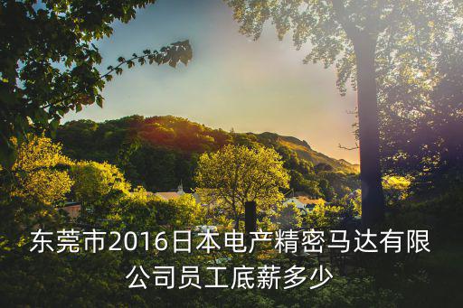 東莞市2016日本電產精密馬達有限公司員工底薪多少