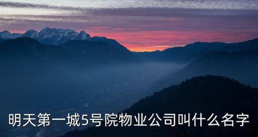 天津市東朋物業管理有限公司，明天第一城5號院物業公司叫什么名字