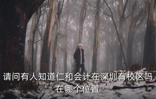 深圳哪里有仁和會計，請問有人知道仁和會計在深圳有校區(qū)嗎在哪個位置