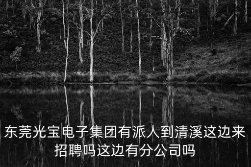 東莞清溪招聘采購，東莞光寶電子集團有派人到清溪這邊來招聘嗎這邊有分公司嗎