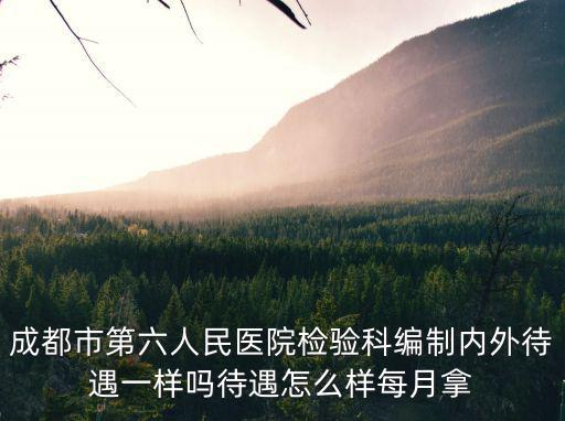 成都市第六人民醫院檢驗科編制內外待遇一樣嗎待遇怎么樣每月拿
