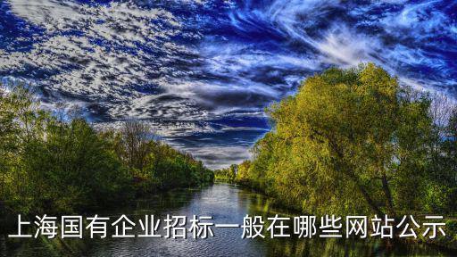 上海國(guó)有企業(yè)招標(biāo)一般在哪些網(wǎng)站公示