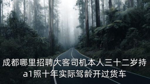 成都哪里招聘大客司機本人三十二歲持a1照十年實際駕齡開過貨車
