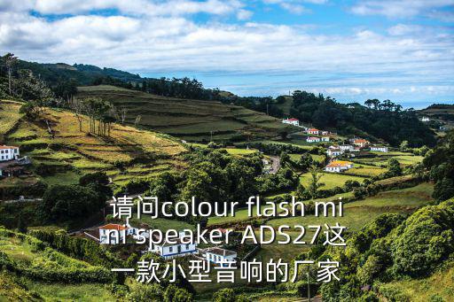 請問colour flash mini speaker ADS27這一款小型音響的廠家