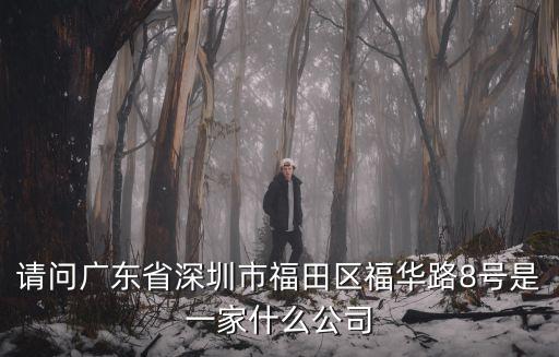 請(qǐng)問廣東省深圳市福田區(qū)福華路8號(hào)是一家什么公司
