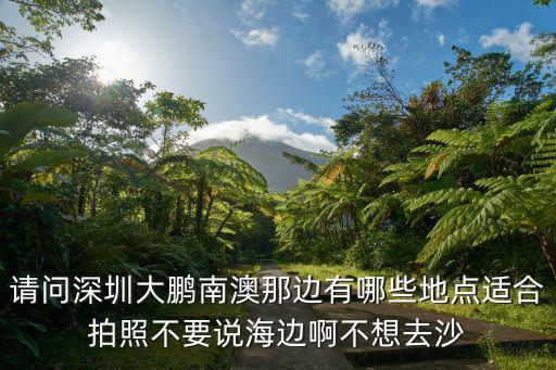 請(qǐng)問(wèn)深圳大鵬南澳那邊有哪些地點(diǎn)適合拍照不要說(shuō)海邊啊不想去沙