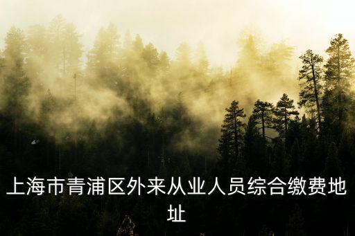 上海市青浦區(qū)外來從業(yè)人員綜合繳費(fèi)地址