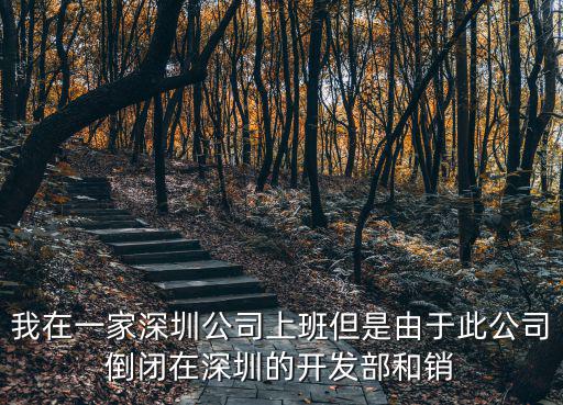 深圳市博雅堂，廣東省深圳市龍崗區那里有學習詠春拳