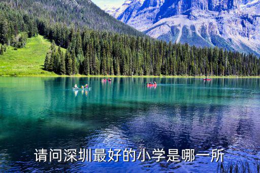 深圳哪些小學好嗎，請問深圳最好的小學是哪一所