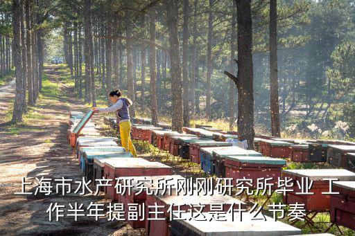 上海市水產研究所剛剛研究所畢業 工作半年提副主任這是什么節奏