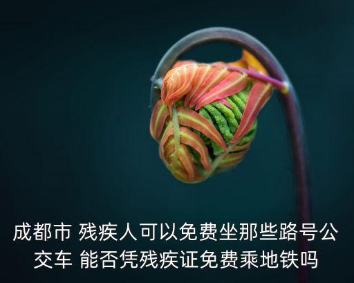 成都市 殘疾人可以免費(fèi)坐那些路號(hào)公交車(chē) 能否憑殘疾證免費(fèi)乘地鐵嗎