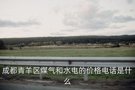 成都市青羊區(qū)燃?xì)鉂q價(jià)，在青羊區(qū)舞東風(fēng)能不能交成華的天然氣費(fèi)呢謝謝啊
