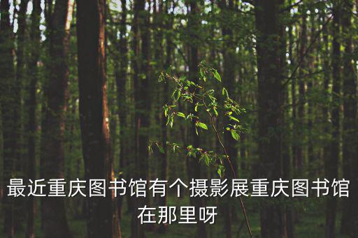 最近重慶圖書館有個攝影展重慶圖書館在那里呀