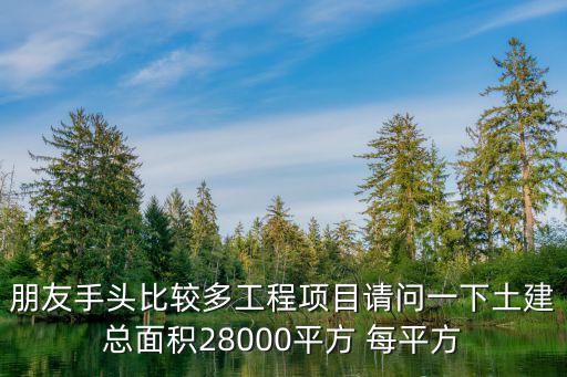 朋友手頭比較多工程項目請問一下土建總面積28000平方 每平方