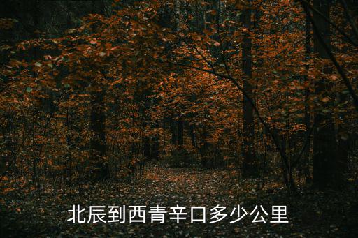 天津西青區(qū)辛口鎮(zhèn)到天津市政府，天津市火車站到西青區(qū)辛口鎮(zhèn)怎么走