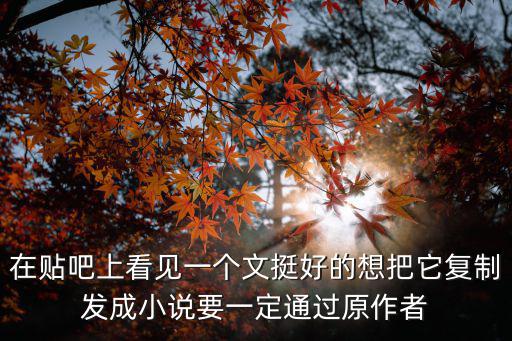 在貼吧上看見一個文挺好的想把它復制發成小說要一定通過原作者
