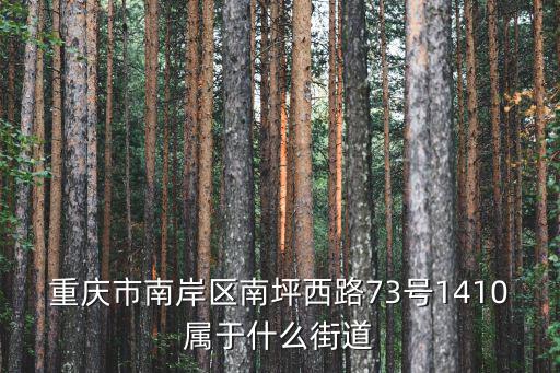重慶市南岸區全紫街，重慶市南岸區南坪西路73號1410屬于什么街道